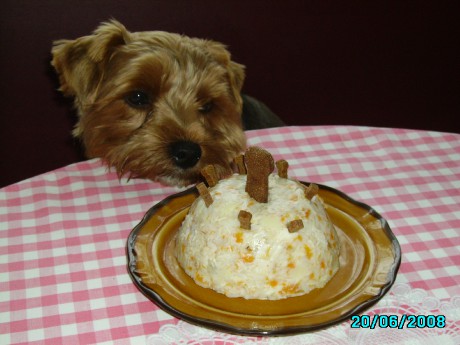 maxe narozeniny 027.jpg